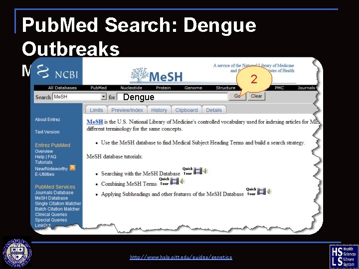 Pub. Med Search: Dengue Outbreaks MESH DATABASE Dengue http: //www. hsls. pitt. edu/guides/genetics 2