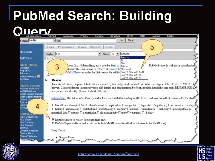 Pub. Med Search: Building Query 5 3 4 http: //www. hsls. pitt. edu/guides/genetics 