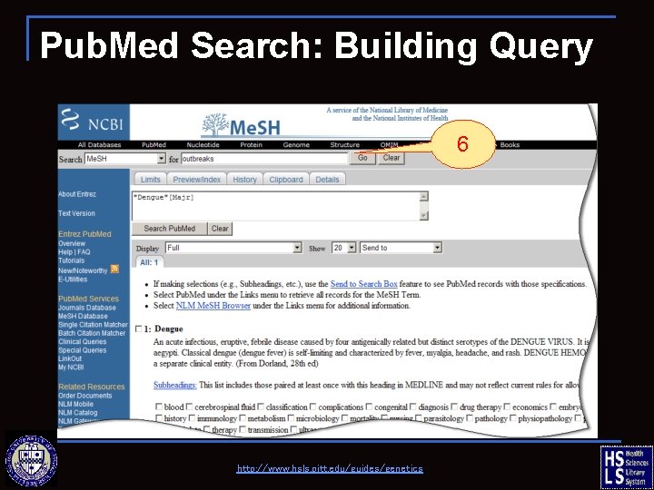 Pub. Med Search: Building Query 6 http: //www. hsls. pitt. edu/guides/genetics 