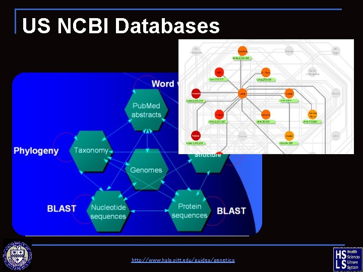 US NCBI Databases http: //www. hsls. pitt. edu/guides/genetics 
