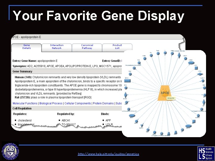 Your Favorite Gene Display http: //www. hsls. pitt. edu/guides/genetics 