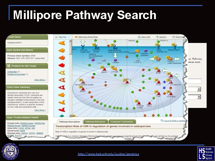 Millipore Pathway Search http: //www. hsls. pitt. edu/guides/genetics 