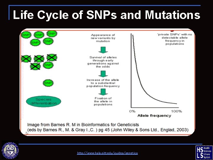 Life Cycle of SNPs and Mutations http: //www. hsls. pitt. edu/guides/genetics 