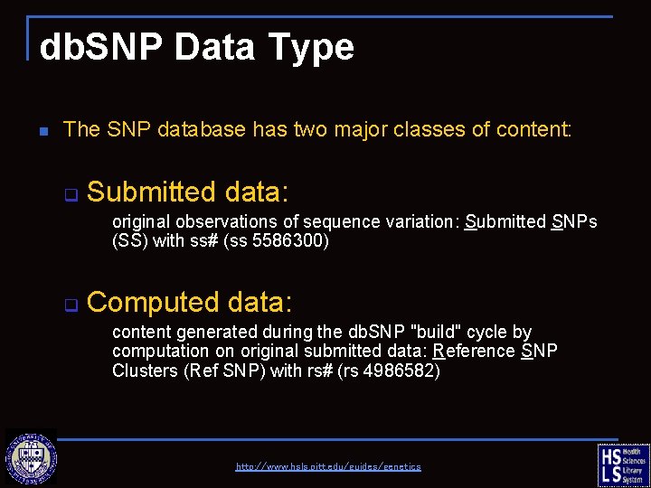 db. SNP Data Type n The SNP database has two major classes of content: