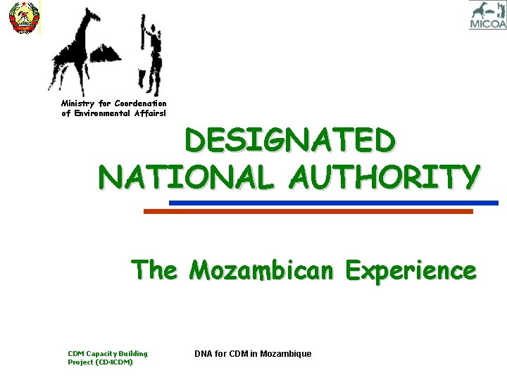 Ministry for Coordenation of Environmental Affairsl DESIGNATED NATIONAL AUTHORITY The Mozambican Experience CDM Capacity