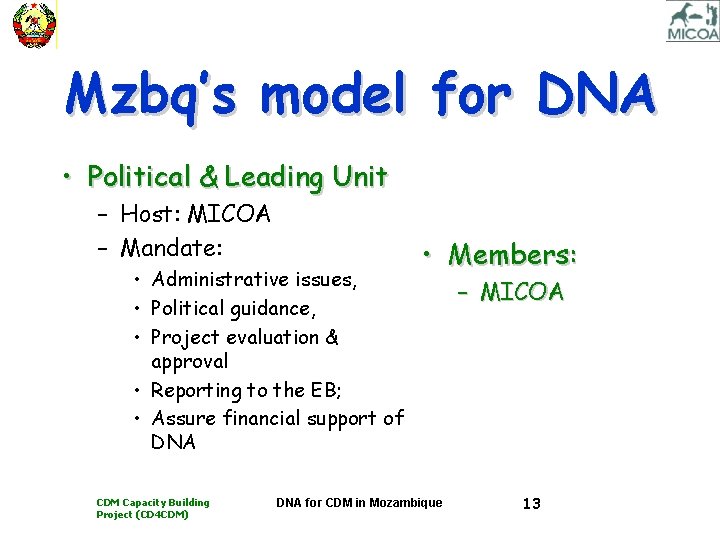 Mzbq’s model for DNA • Political & Leading Unit – Host: MICOA – Mandate: