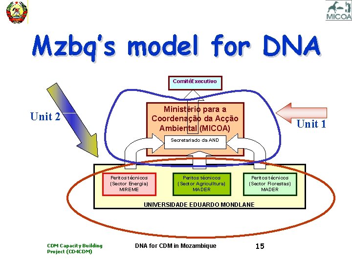 Mzbq’s model for DNA ComitéExecutivo Ministério para a Coordenação da Acção Ambiental (MICOA) Unit