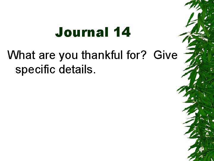 Journal 14 What are you thankful for? Give specific details. 