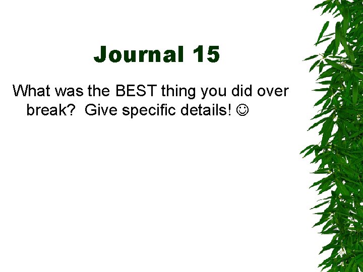 Journal 15 What was the BEST thing you did over break? Give specific details!