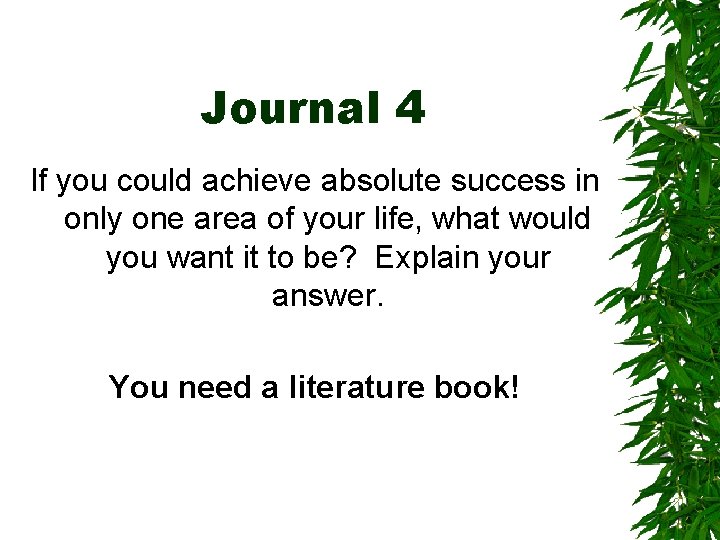 Journal 4 If you could achieve absolute success in only one area of your