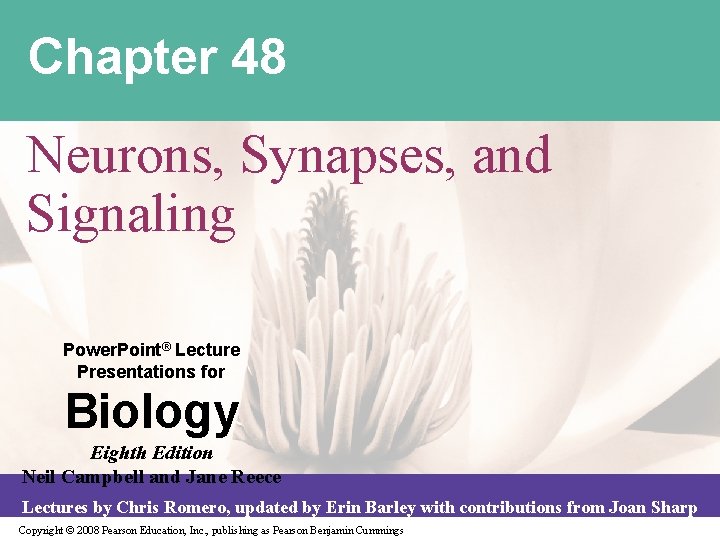 Chapter 48 Neurons, Synapses, and Signaling Power. Point® Lecture Presentations for Biology Eighth Edition