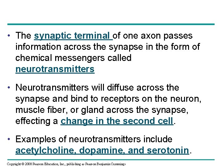  • The synaptic terminal of one axon passes information across the synapse in