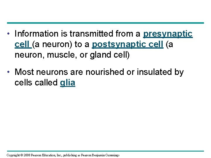  • Information is transmitted from a presynaptic cell (a neuron) to a postsynaptic