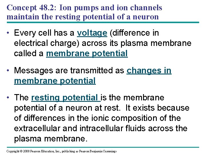 Concept 48. 2: Ion pumps and ion channels maintain the resting potential of a