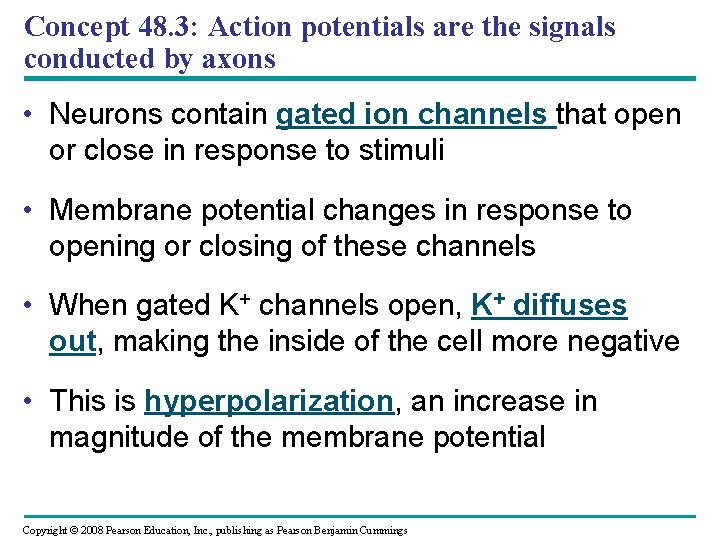 Concept 48. 3: Action potentials are the signals conducted by axons • Neurons contain