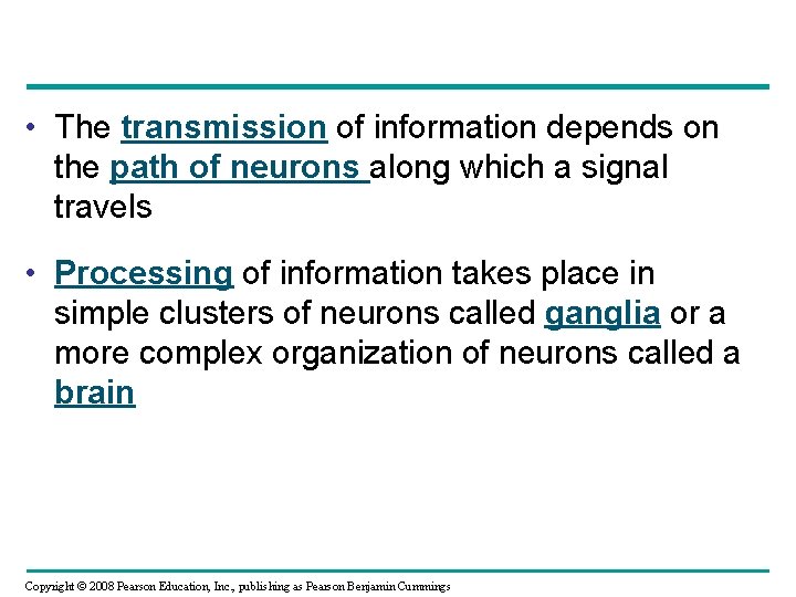  • The transmission of information depends on the path of neurons along which