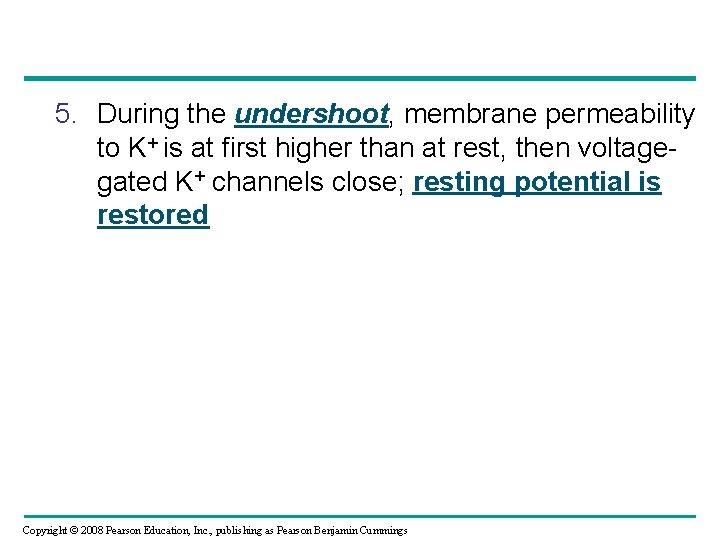 5. During the undershoot, membrane permeability to K+ is at first higher than at