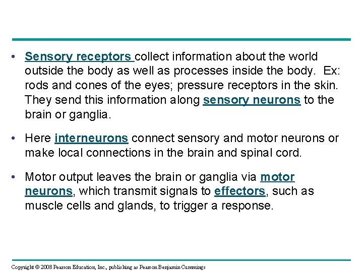  • Sensory receptors collect information about the world outside the body as well