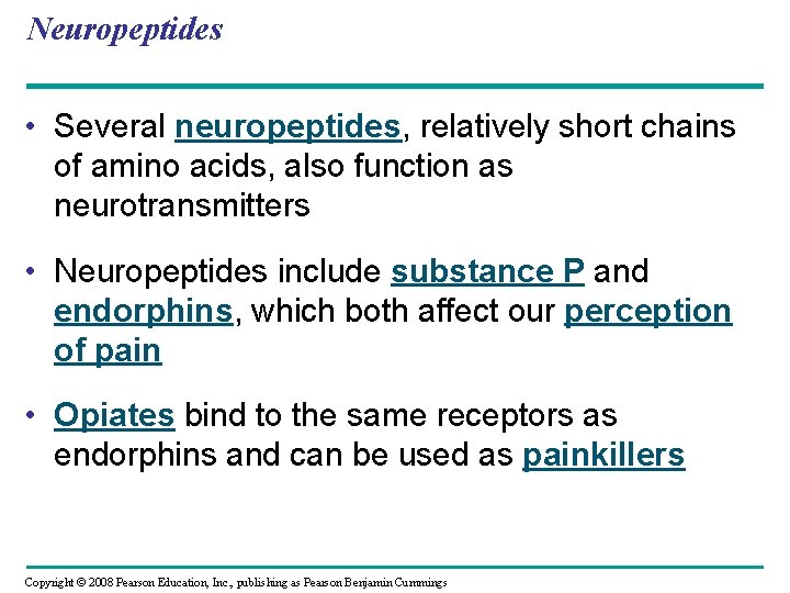 Neuropeptides • Several neuropeptides, relatively short chains of amino acids, also function as neurotransmitters