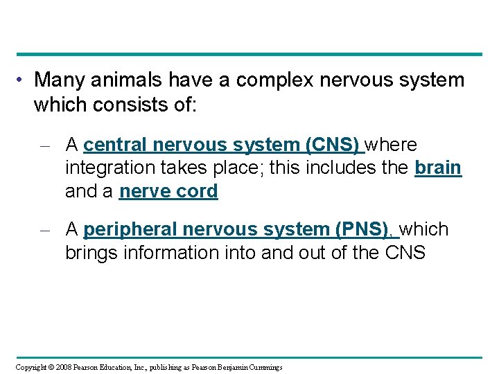  • Many animals have a complex nervous system which consists of: – A