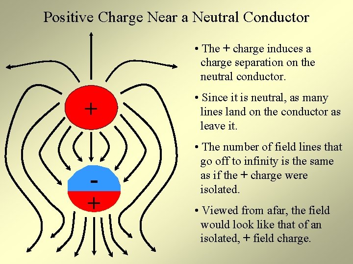 Positive Charge Near a Neutral Conductor • The + charge induces a charge separation