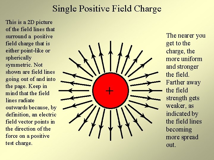 Single Positive Field Charge This is a 2 D picture of the field lines