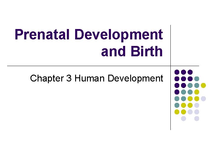 Prenatal Development and Birth Chapter 3 Human Development 