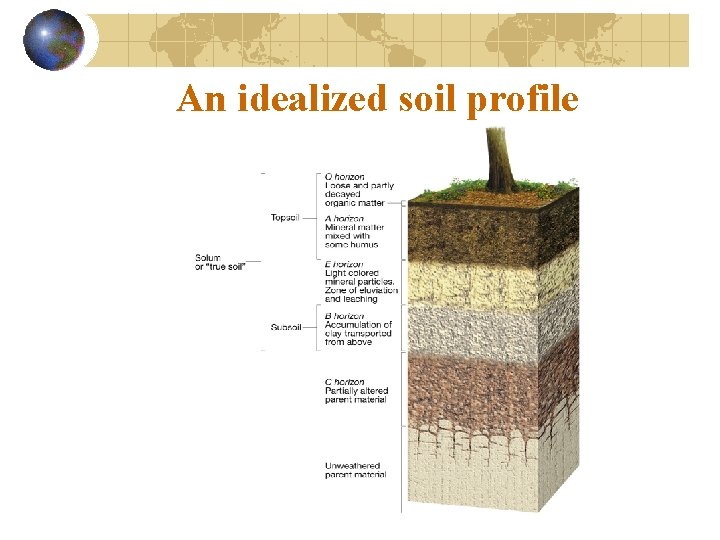 An idealized soil profile 