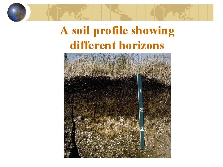 A soil profile showing different horizons 