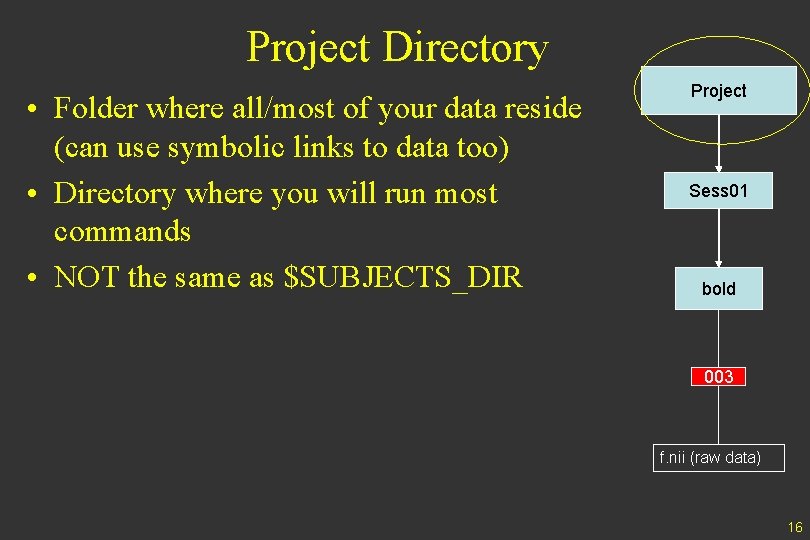 Project Directory • Folder where all/most of your data reside (can use symbolic links