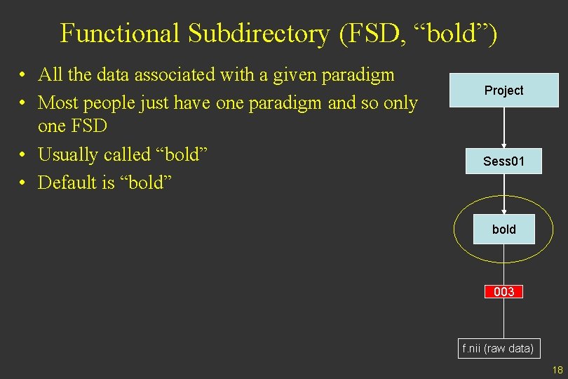 Functional Subdirectory (FSD, “bold”) • All the data associated with a given paradigm •