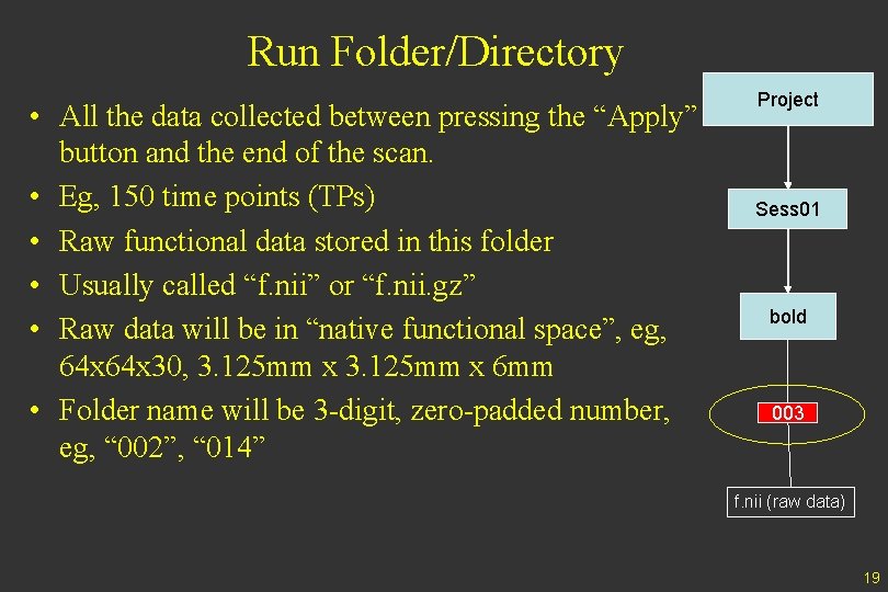 Run Folder/Directory • All the data collected between pressing the “Apply” button and the