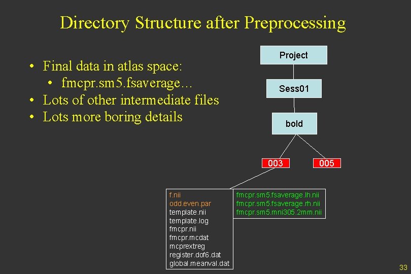 Directory Structure after Preprocessing • Final data in atlas space: • fmcpr. sm 5.