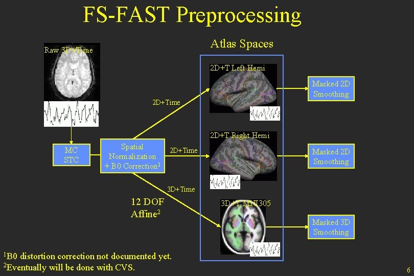 FS-FAST Preprocessing Atlas Spaces Raw 3 D+Time 2 D+T Left Hemi Masked 2 D