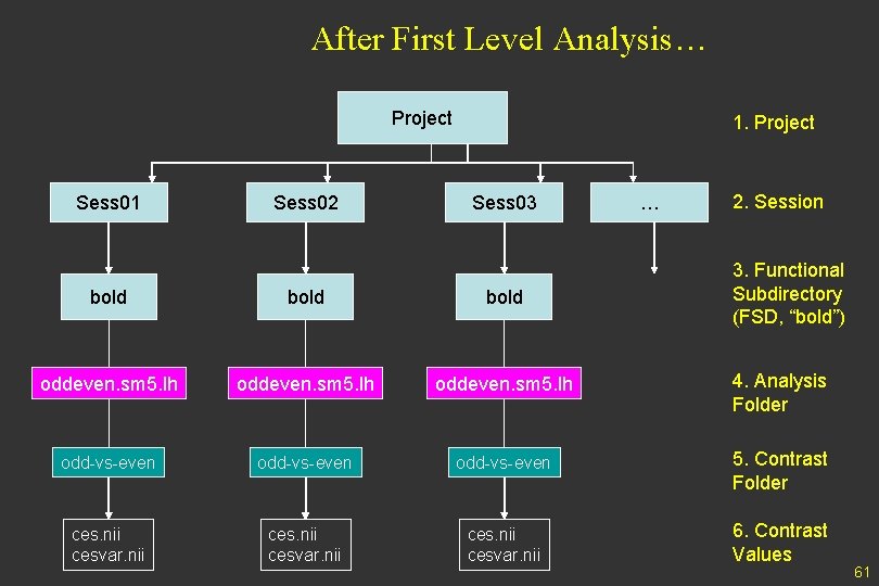 After First Level Analysis… Project Sess 01 Sess 02 1. Project Sess 03 …