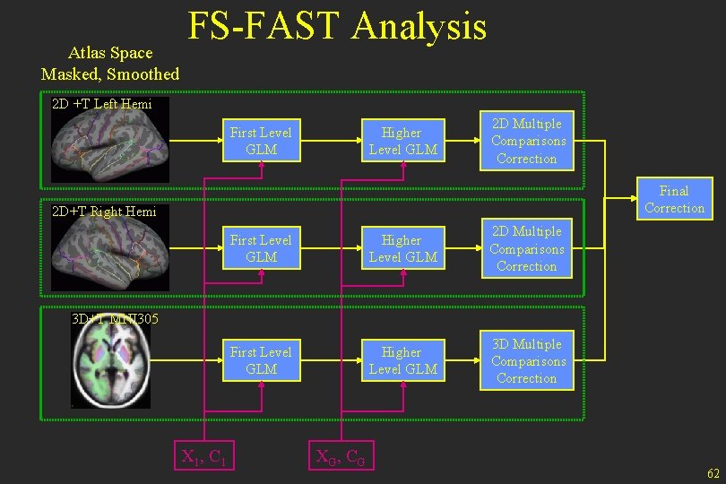 Atlas Space Masked, Smoothed FS-FAST Analysis 2 D +T Left Hemi First Level GLM