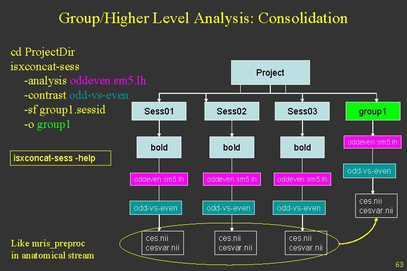 Group/Higher Level Analysis: Consolidation cd Project. Dir isxconcat-sess -analysis oddeven. sm 5. lh -contrast