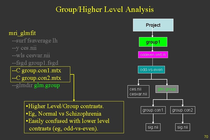 Group/Higher Level Analysis Project mri_glmfit --surf fsaverage lh --y ces. nii --wls cesvar. nii