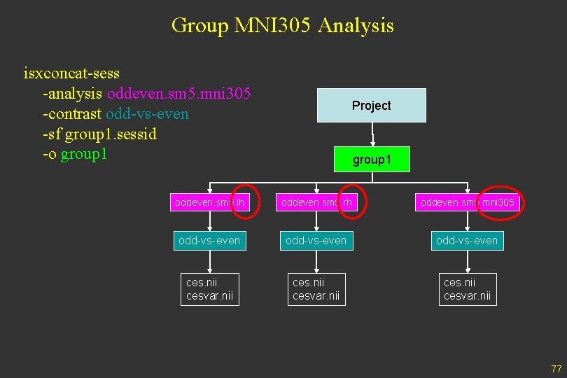 Group MNI 305 Analysis isxconcat-sess -analysis oddeven. sm 5. mni 305 -contrast odd-vs-even -sf
