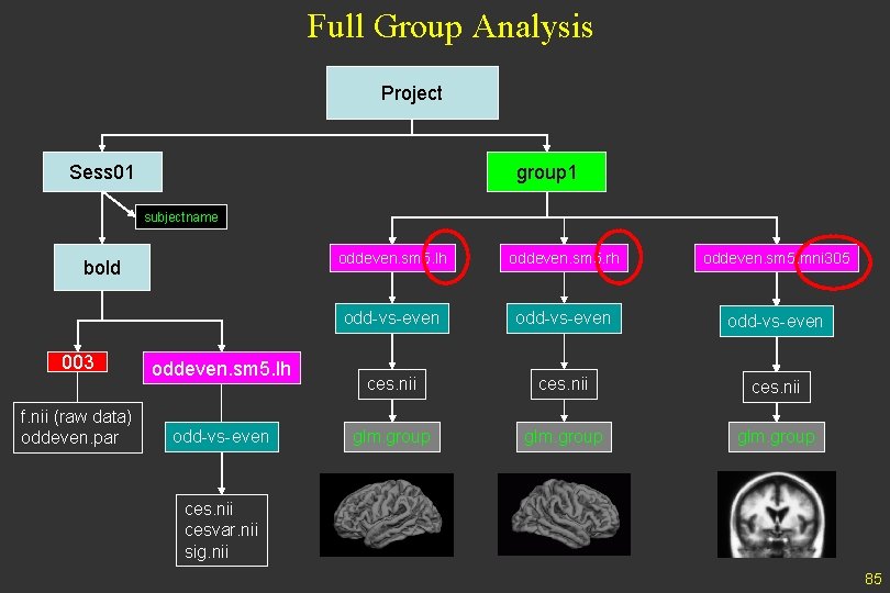 Full Group Analysis Project Sess 01 group 1 subjectname bold 003 f. nii (raw