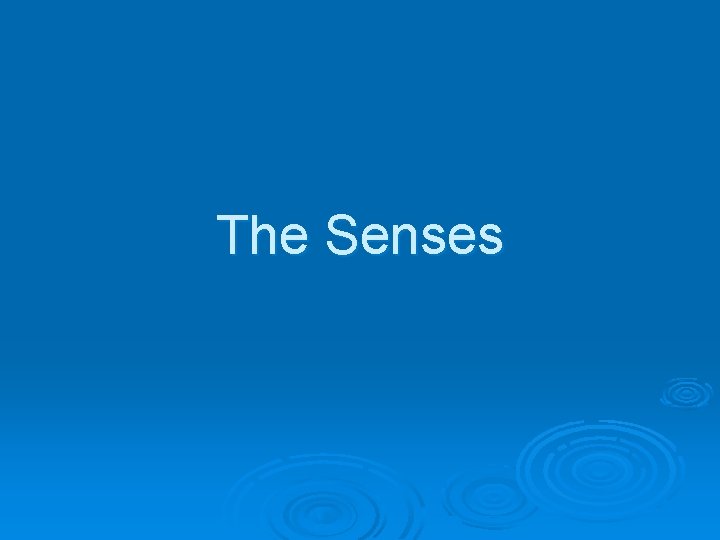 The Senses 