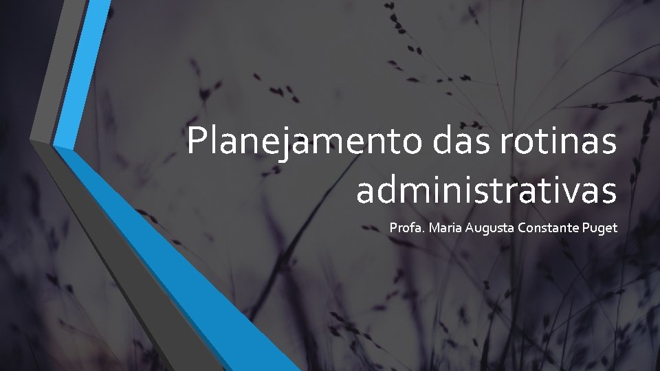 Planejamento das rotinas administrativas Profa. Maria Augusta Constante Puget 