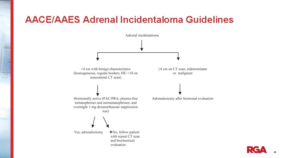 AACE/AAES Adrenal Incidentaloma Guidelines 16 
