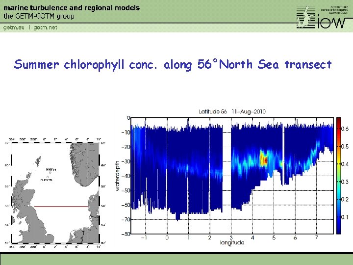 Summer chlorophyll conc. along 56°North Sea transect 