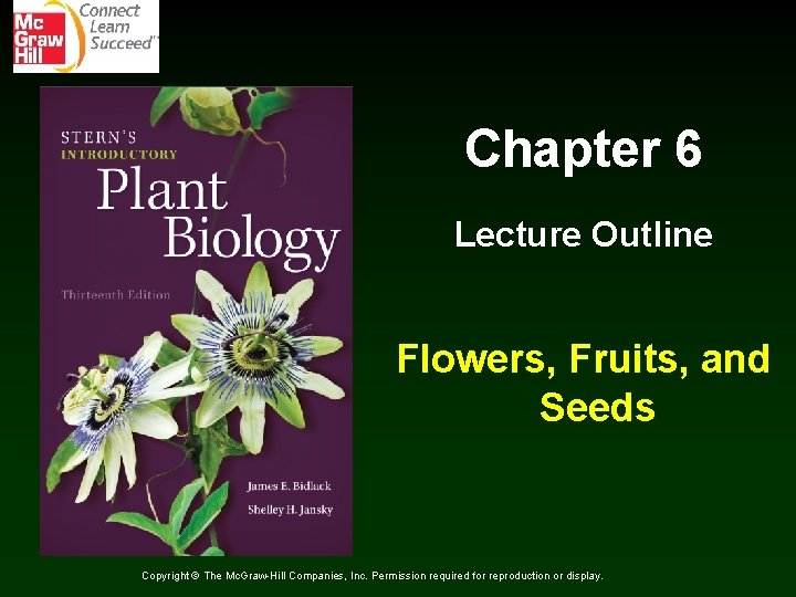 Chapter 6 Lecture Outline Flowers, Fruits, and Seeds Copyright © The Mc. Graw-Hill Companies,