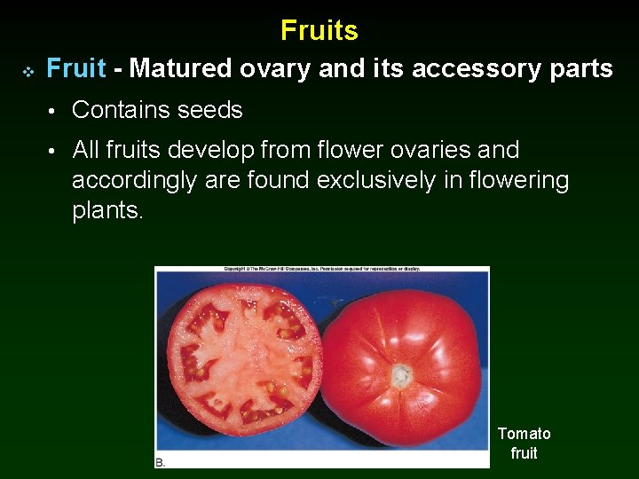 Fruits v Fruit - Matured ovary and its accessory parts • Contains seeds •