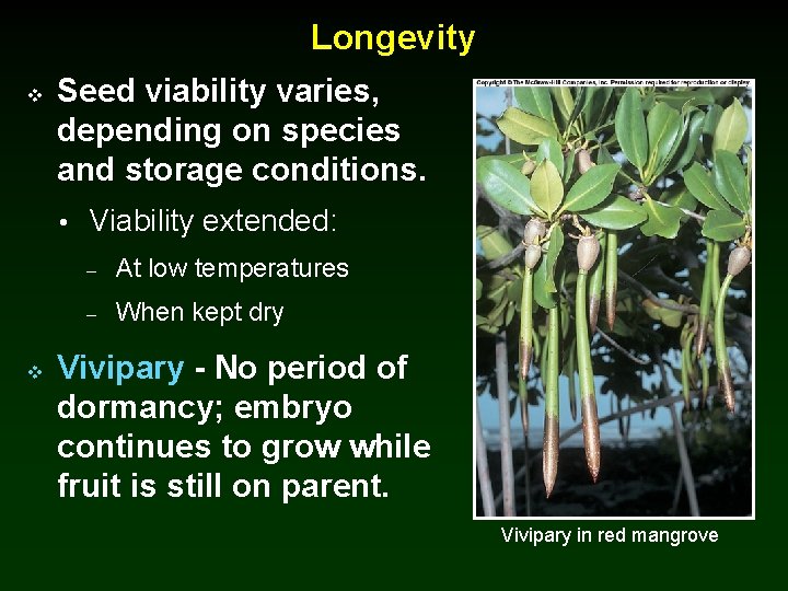 Longevity v Seed viability varies, depending on species and storage conditions. • Viability extended: