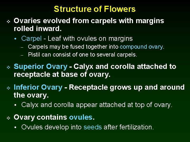 Structure of Flowers v Ovaries evolved from carpels with margins rolled inward. • Carpel
