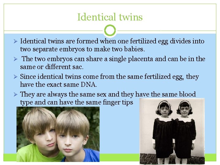 Identical twins Ø Identical twins are formed when one fertilized egg divides into two