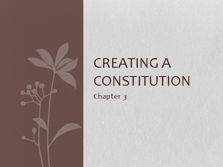 CREATING A CONSTITUTION Chapter 3 
